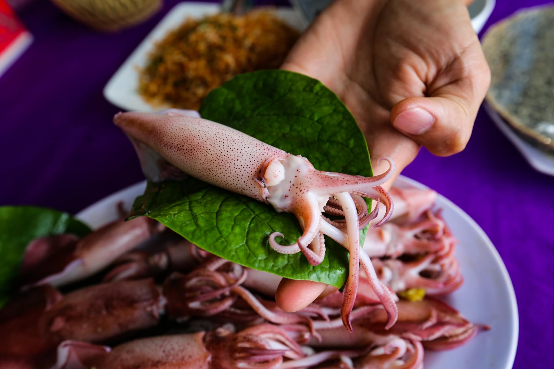 Mực nhảy Kỳ Anh